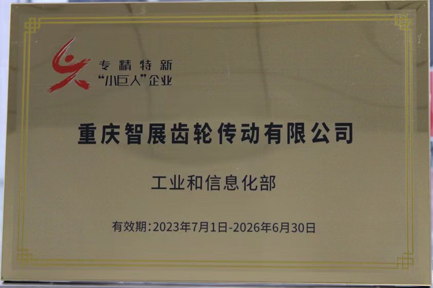 專精特新“小巨人”企業(yè)