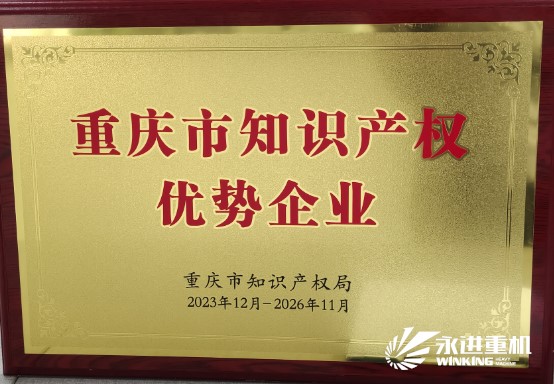 重慶市知識(shí)產(chǎn)權(quán)優(yōu)勢(shì)企業(yè)